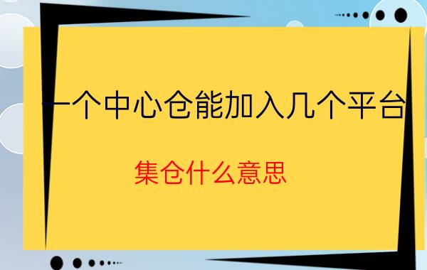 一个中心仓能加入几个平台 集仓什么意思？